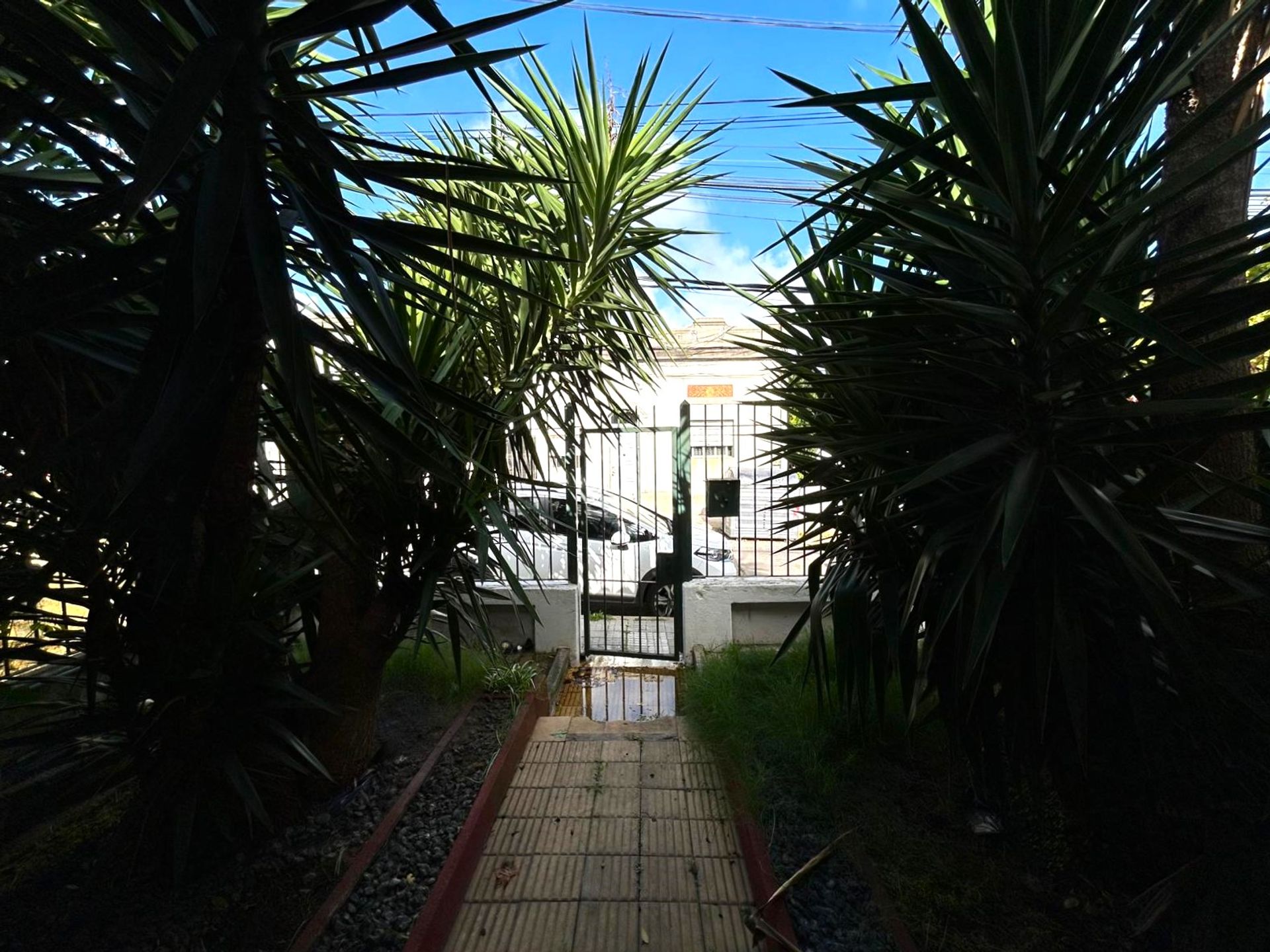 Alquiler casa 2 dormitorios-Patio-Jardin- Union · Foto 10
