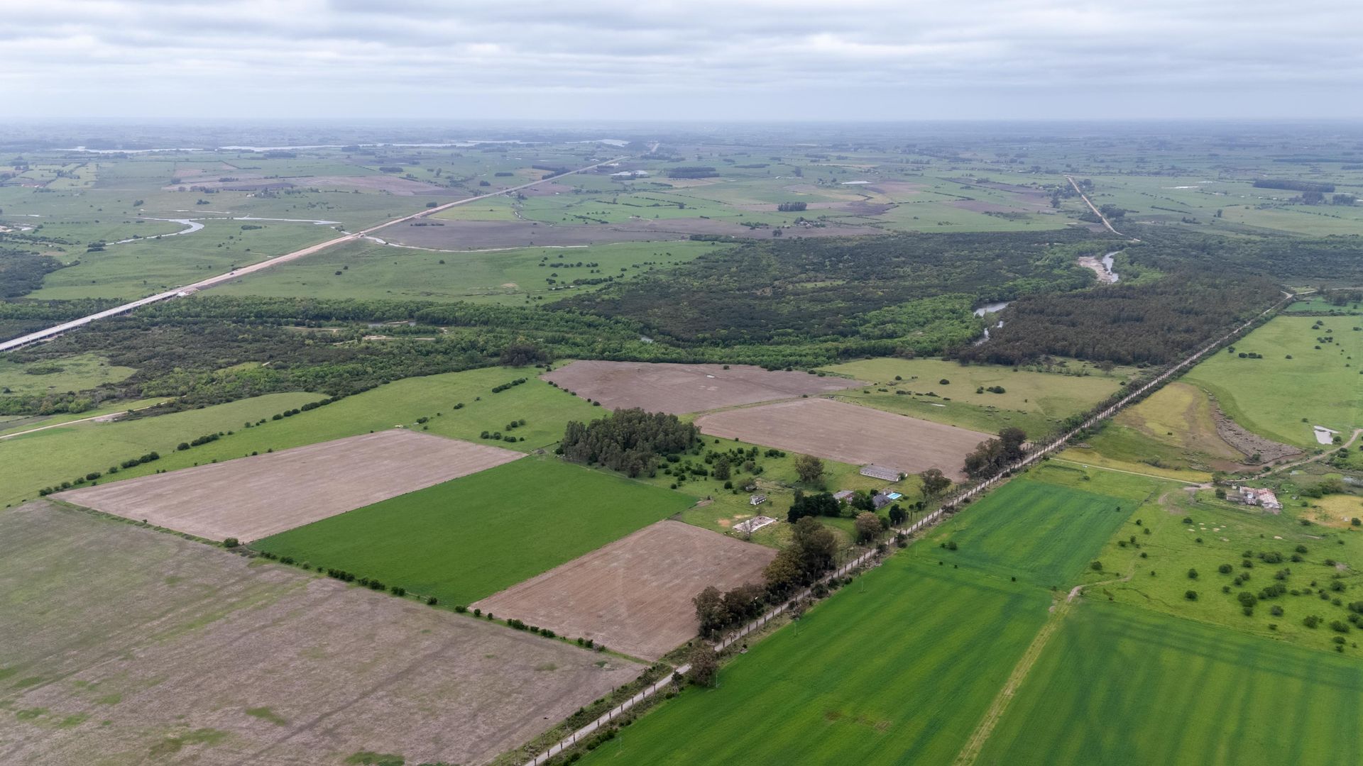 VENTA CAMPO 126 HA, Vivienda y ex Haras, Florida - foto 4