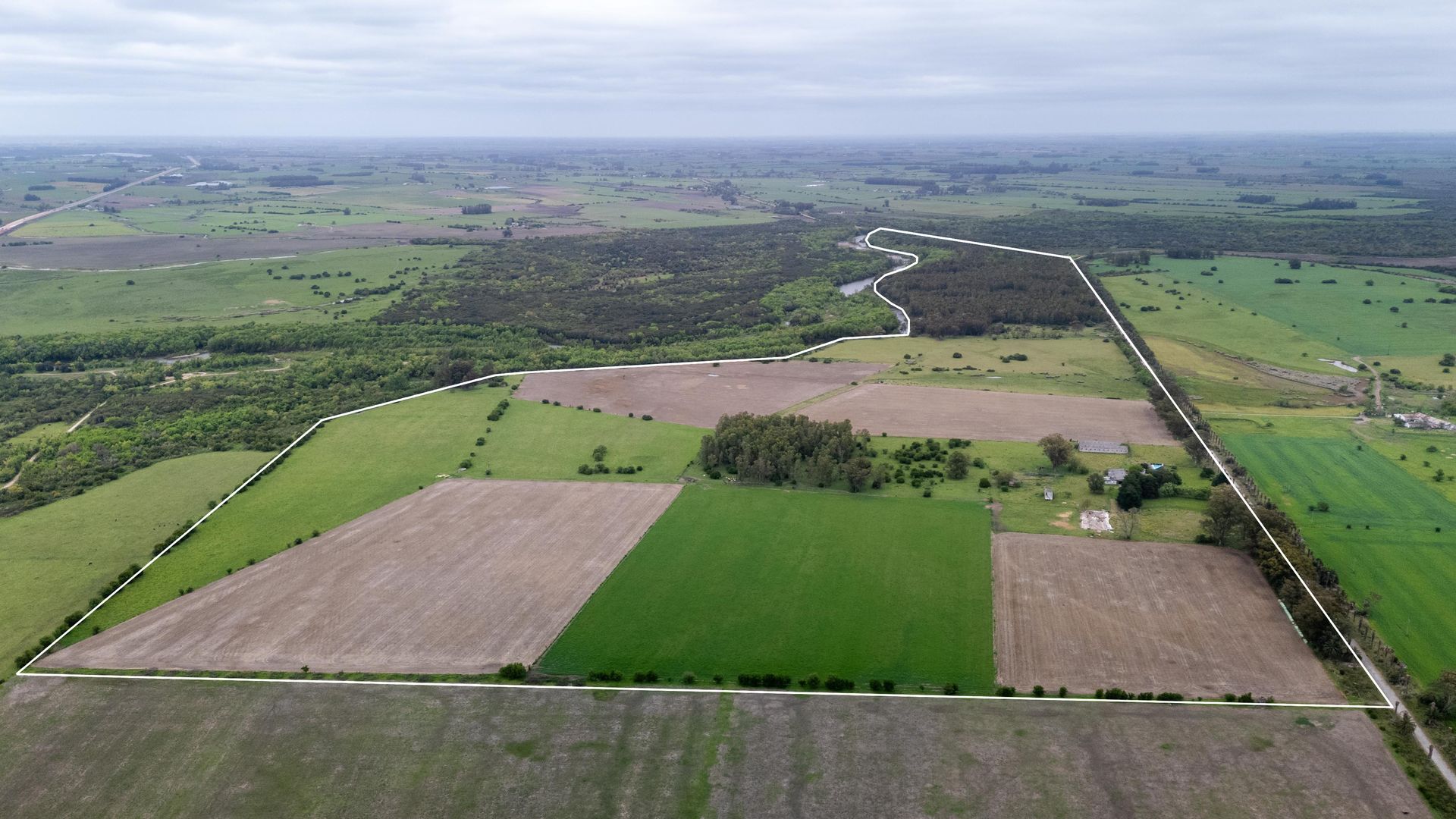 VENTA CAMPO 126 HA, Vivienda y ex Haras, Florida - foto 3