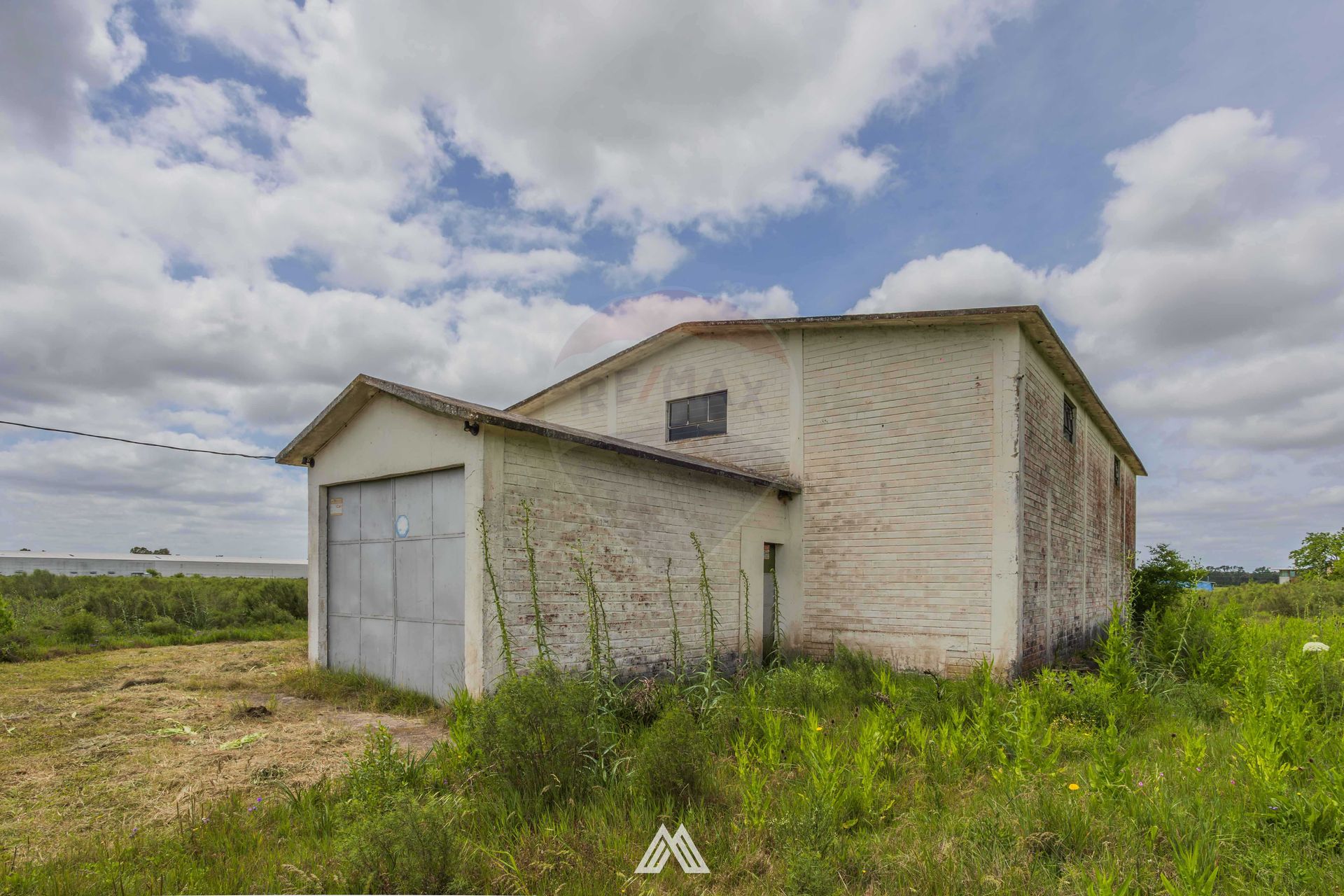 VENTA CHACRA DE 5.84 HA, Bodega Boutique, SAN JOSÉ - foto 4
