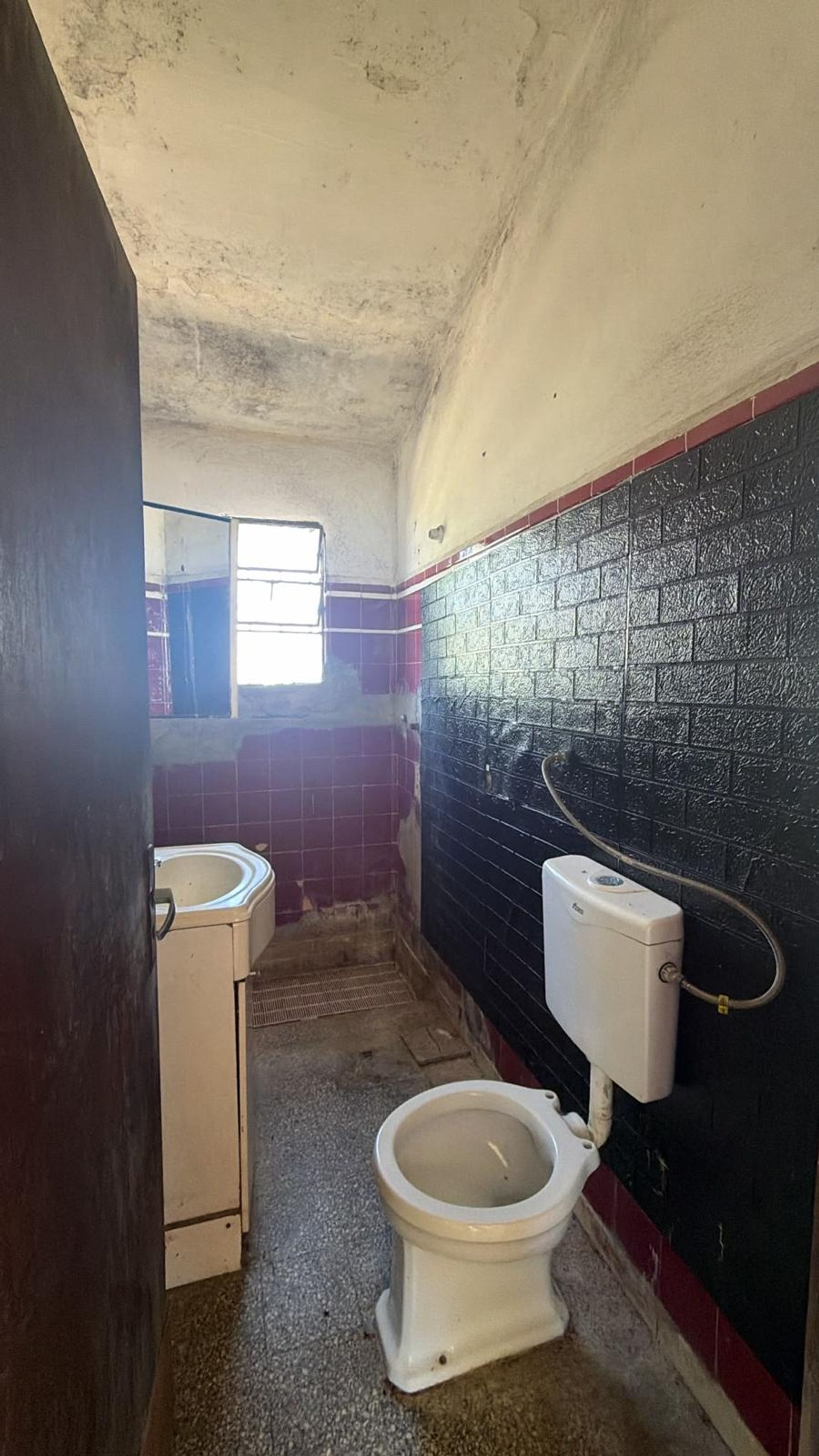 ALQUILER CASA 3 DORM Y 2 BAÑOS PROGRESO · Foto 12