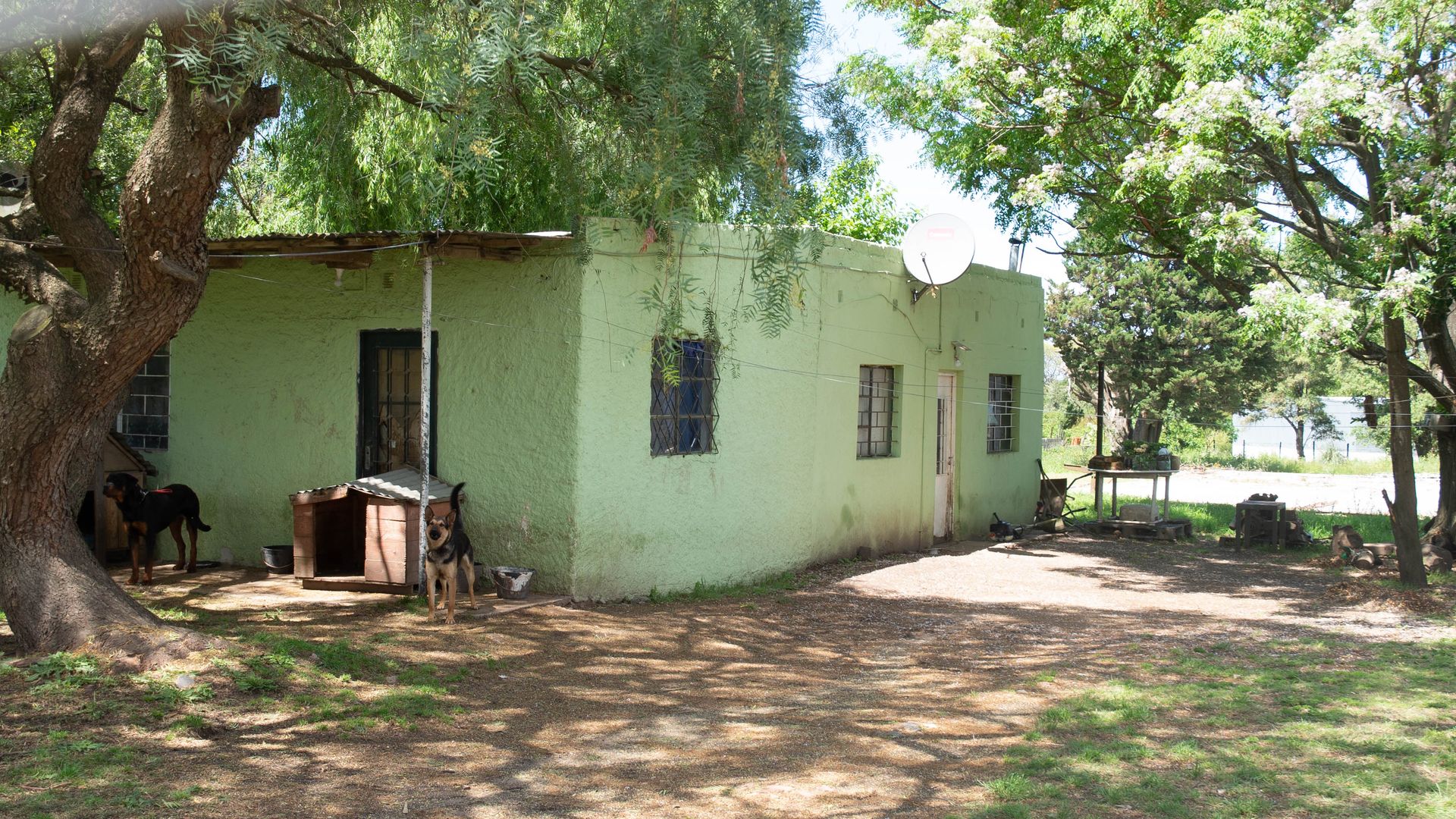 Alquiler gran predio con casa en Barros Blancos · Foto 9
