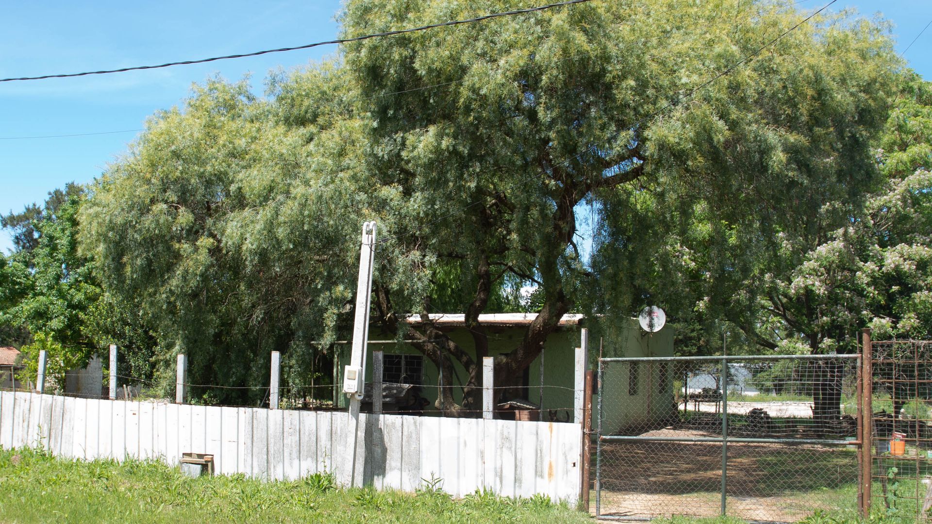 Alquiler gran predio con casa en Barros Blancos · Foto 10