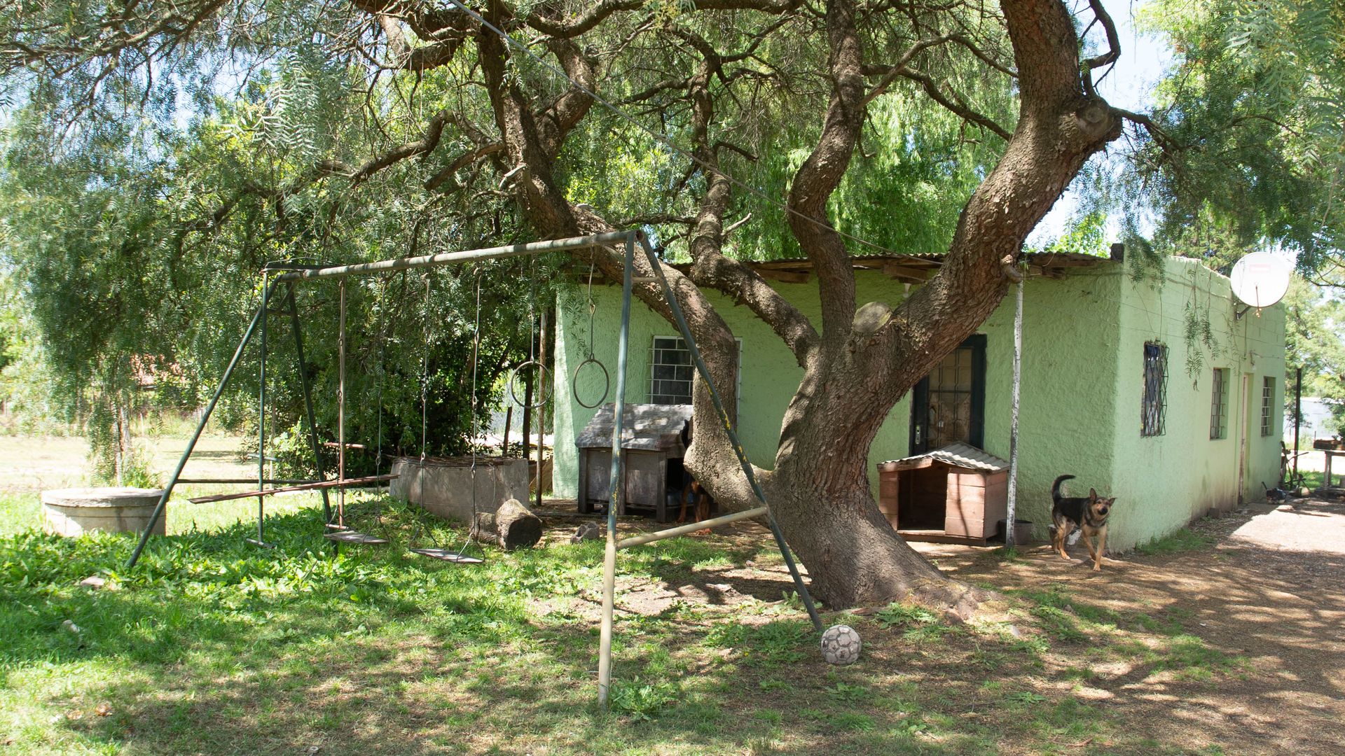 Alquiler gran predio con casa en Barros Blancos · Foto 11