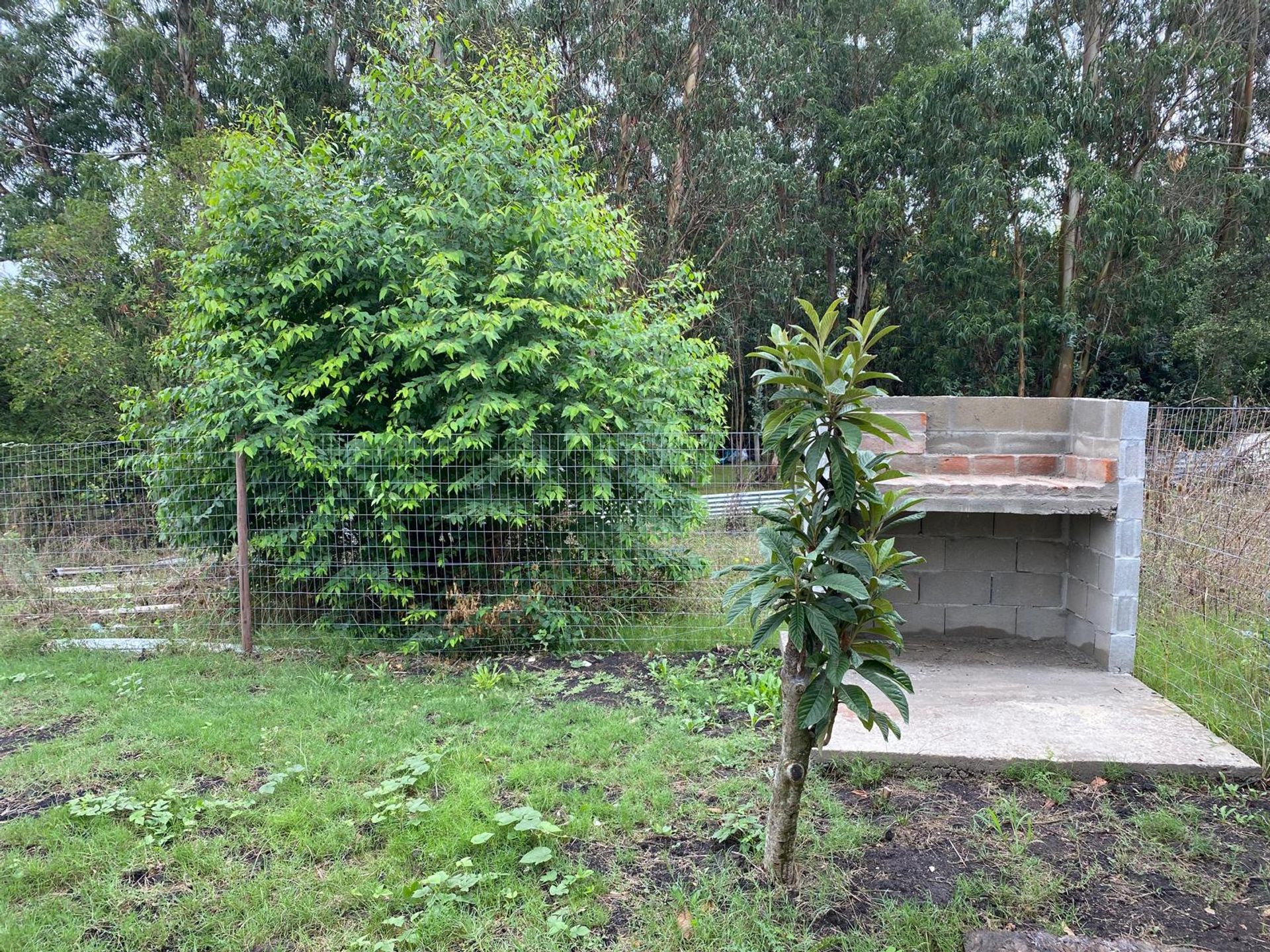 Alquiler casa un dormitorio en Barros Blancos · Foto 11