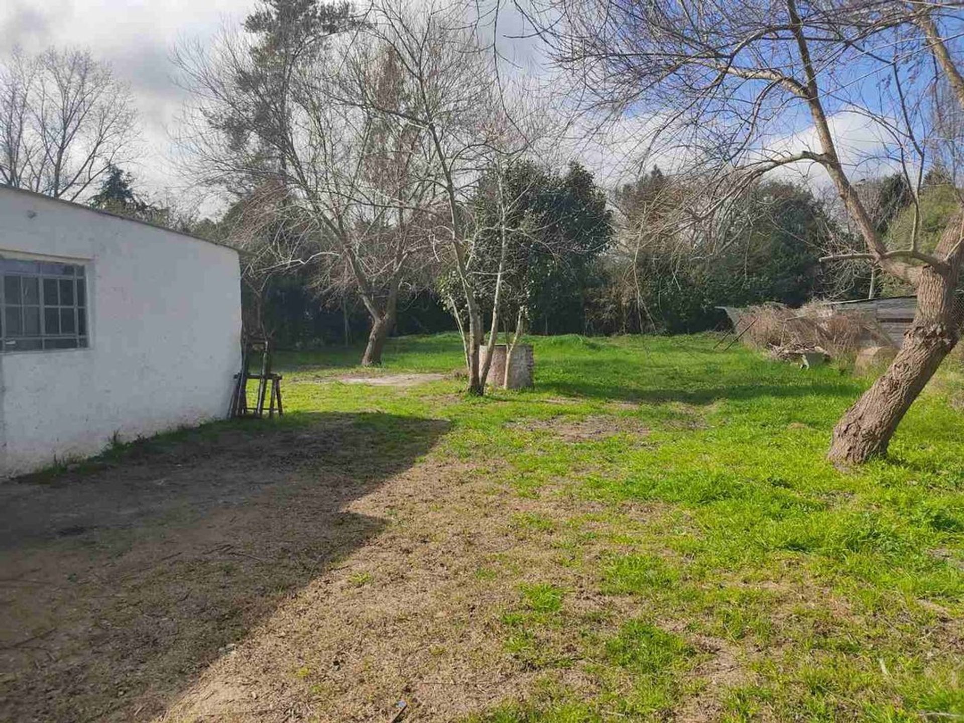 Alquiler Local Comercial con Amplio Terreno · Foto 2