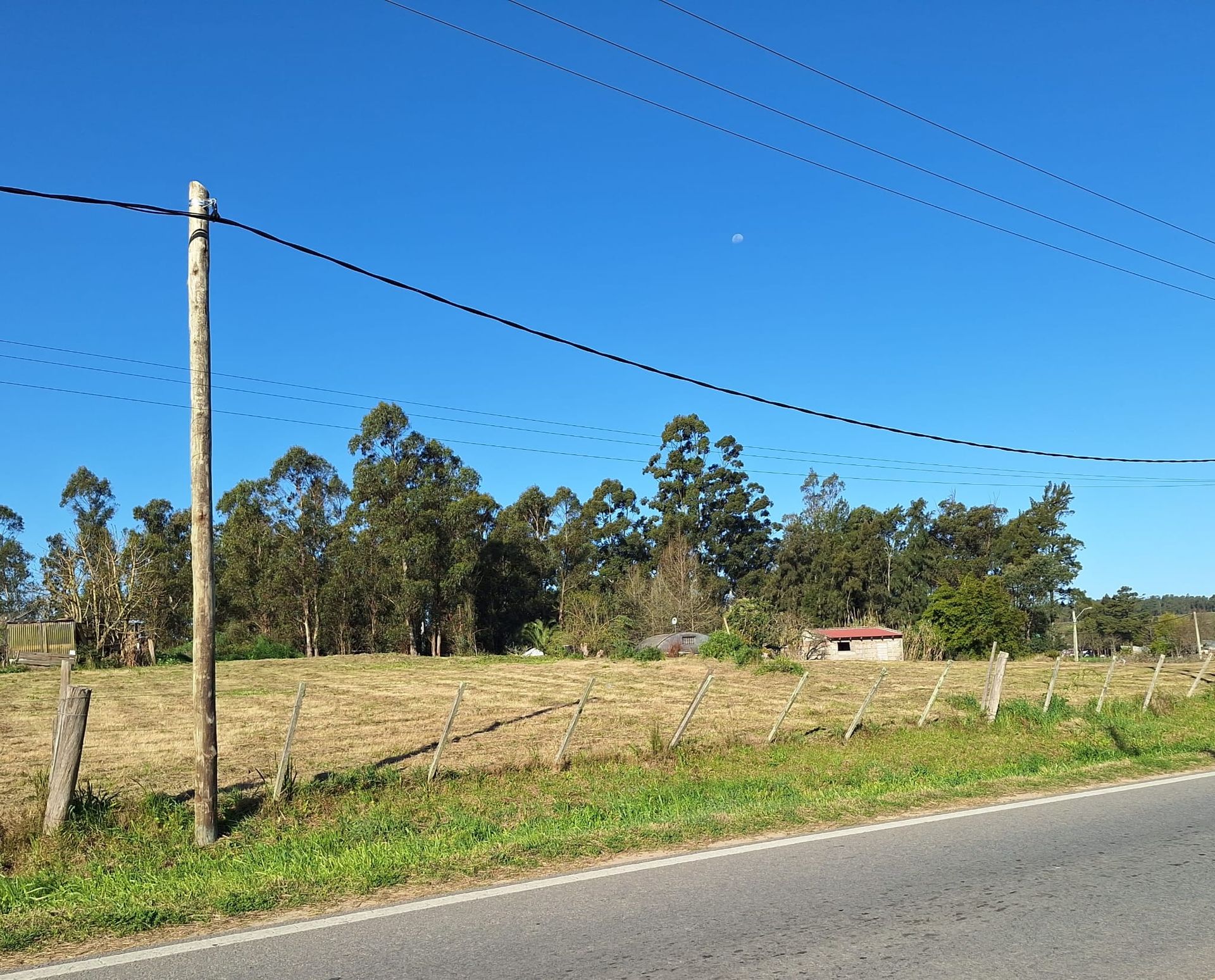 Alquiler de terreno 5.500m² sobre Ruta 34 Km. 40 · Foto 2