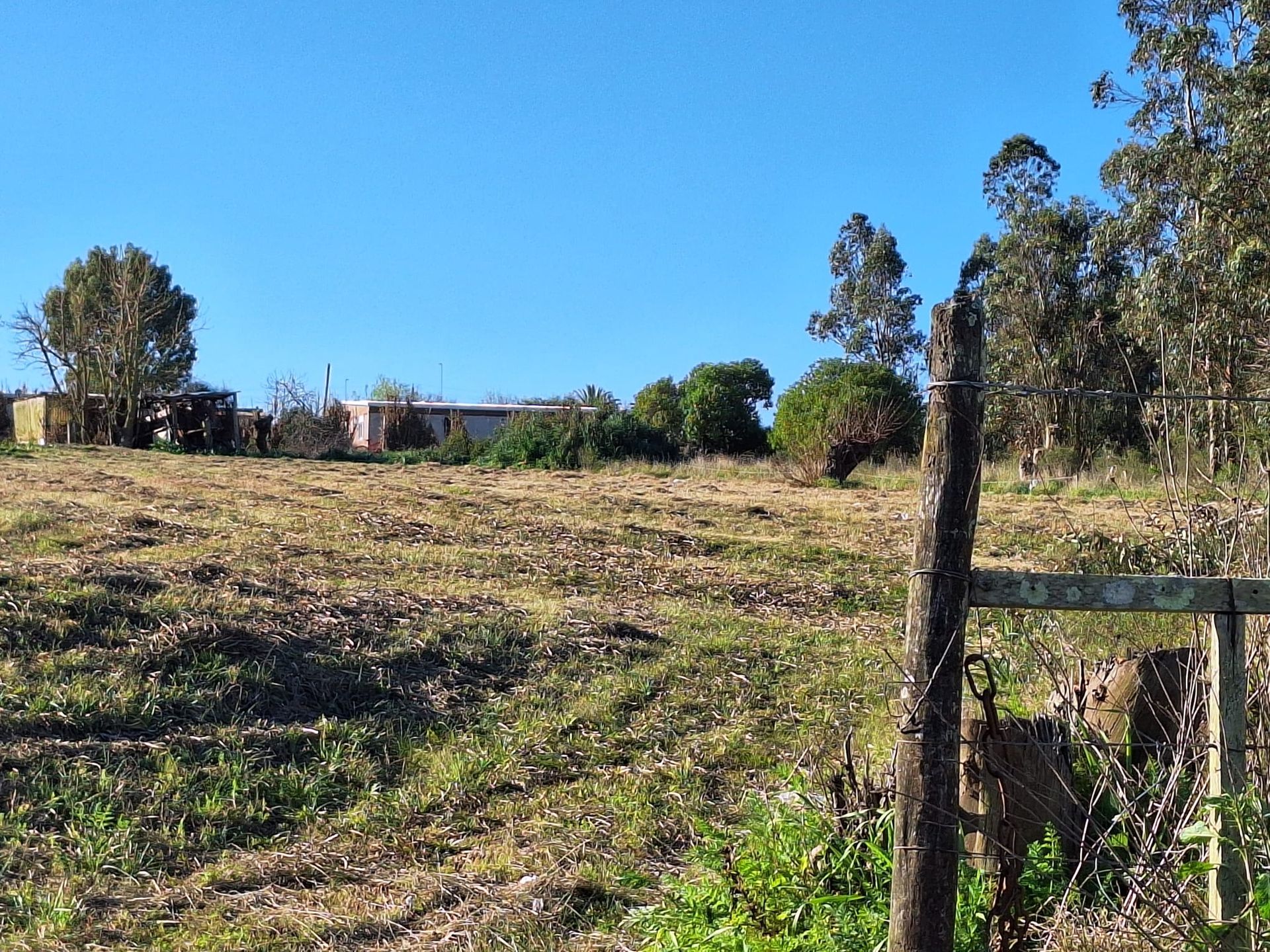 Alquiler de terreno 5.500m² sobre Ruta 34 Km. 40 · Foto 4