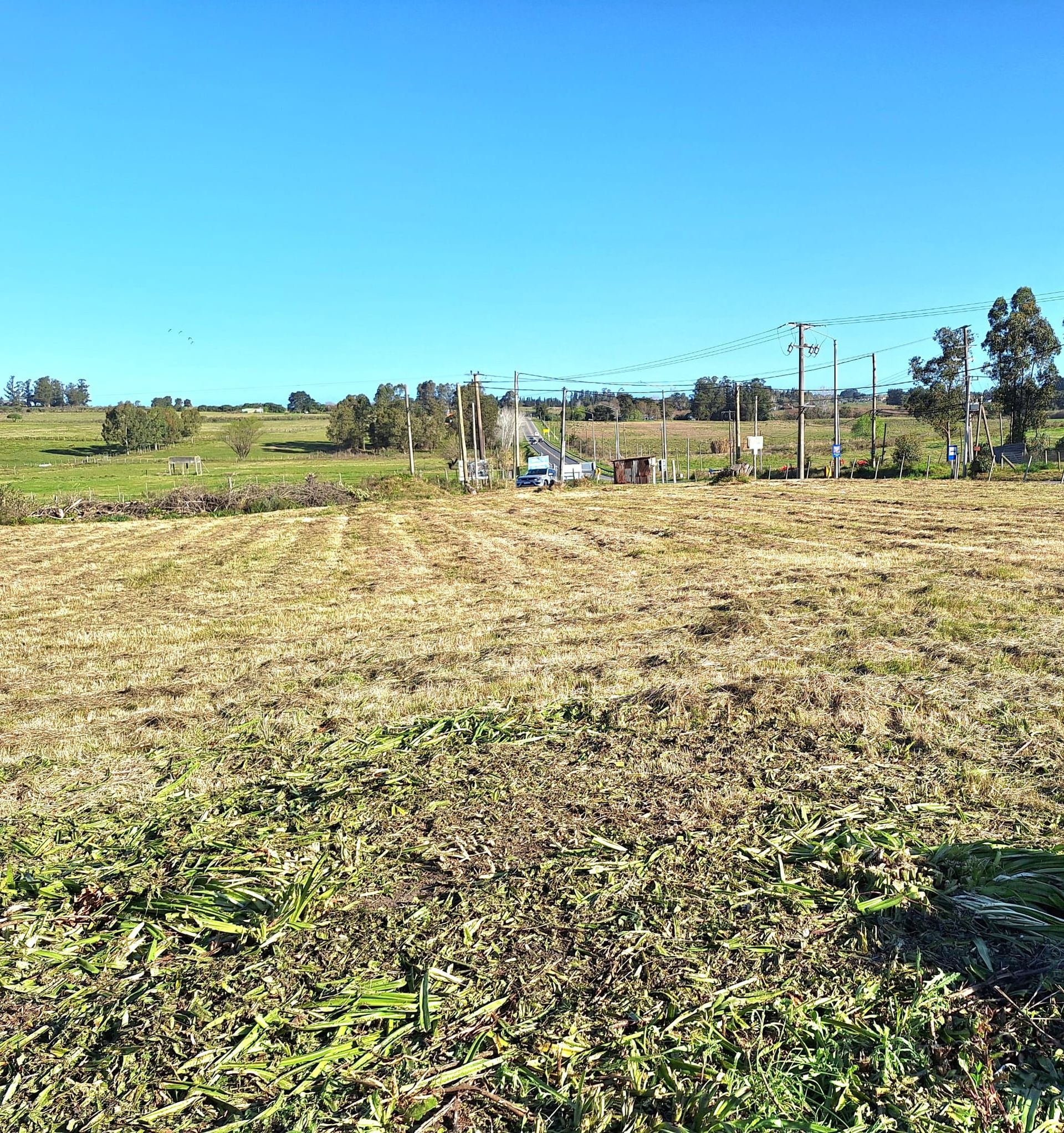 Alquiler de terreno 5.500m² sobre Ruta 34 Km. 40 · Foto 1