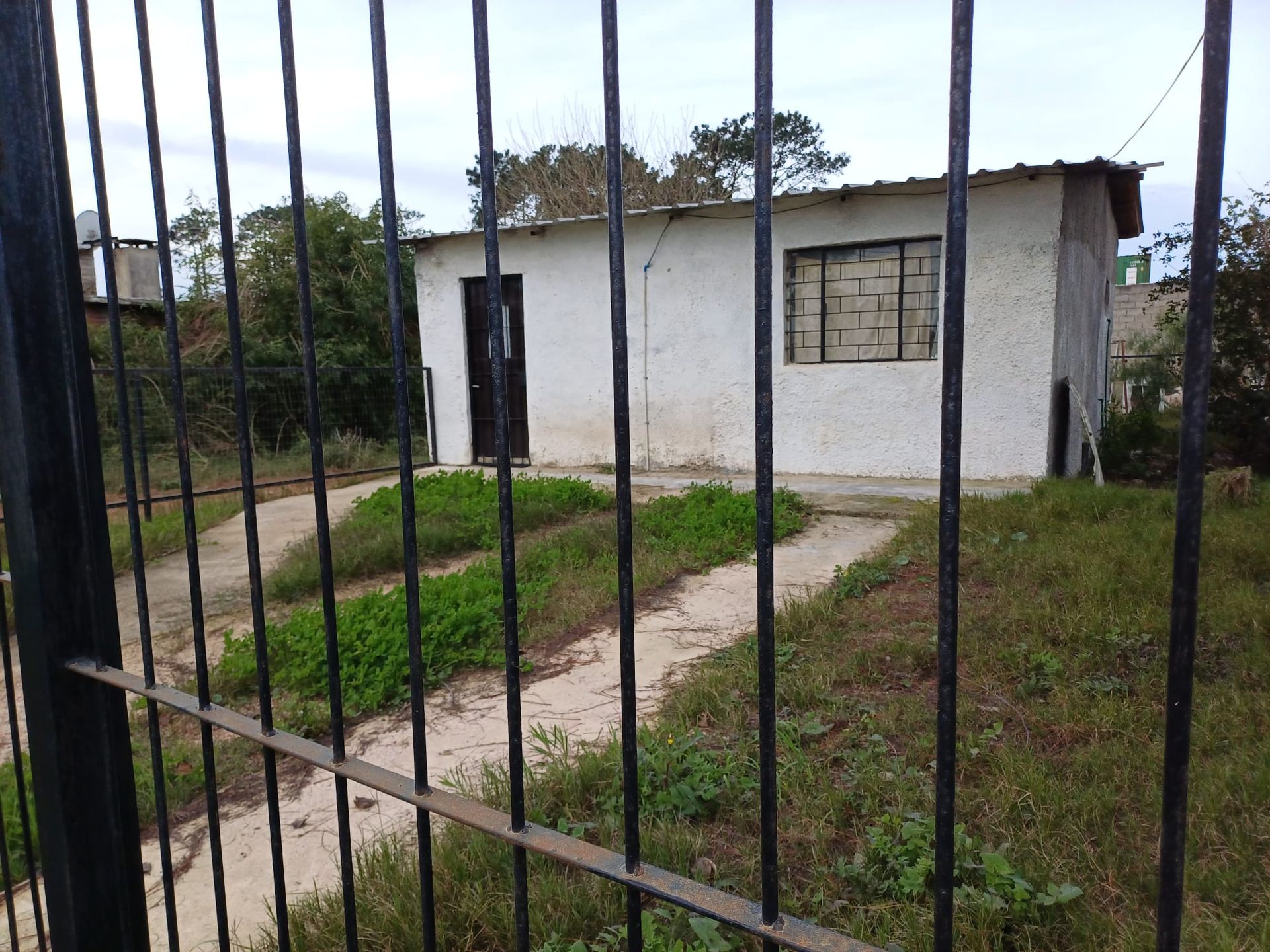 Alquila casa en El Pinar Norte · Foto 12
