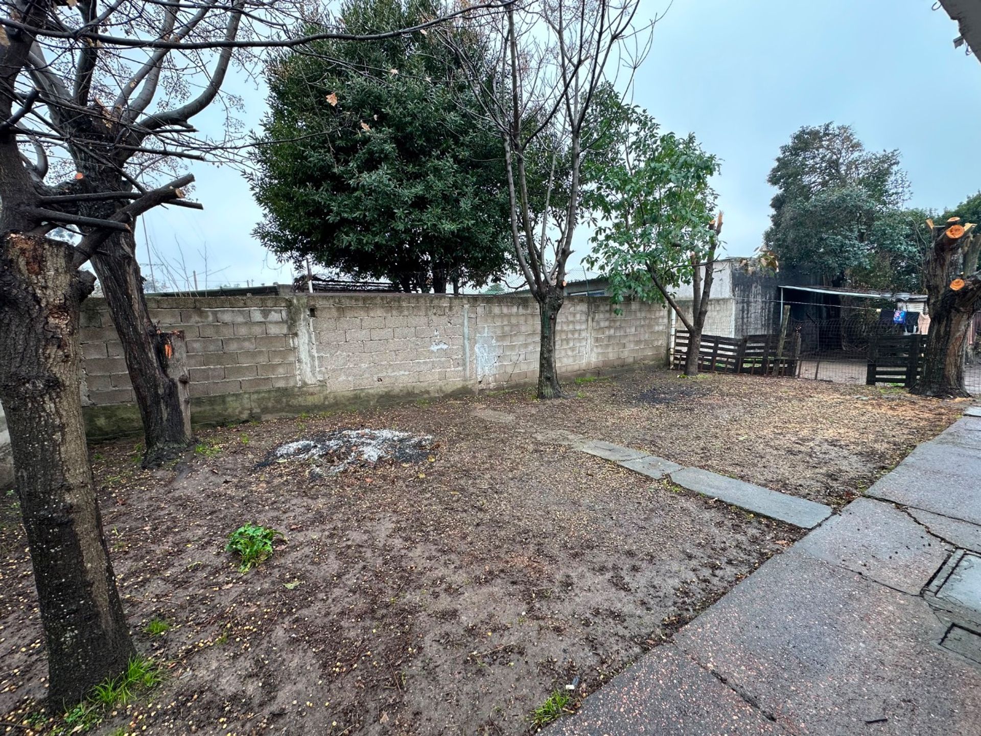 ALQUILER CASA 2 DORMITORIOS FONDO PASO DE LA ARENA · Foto 8