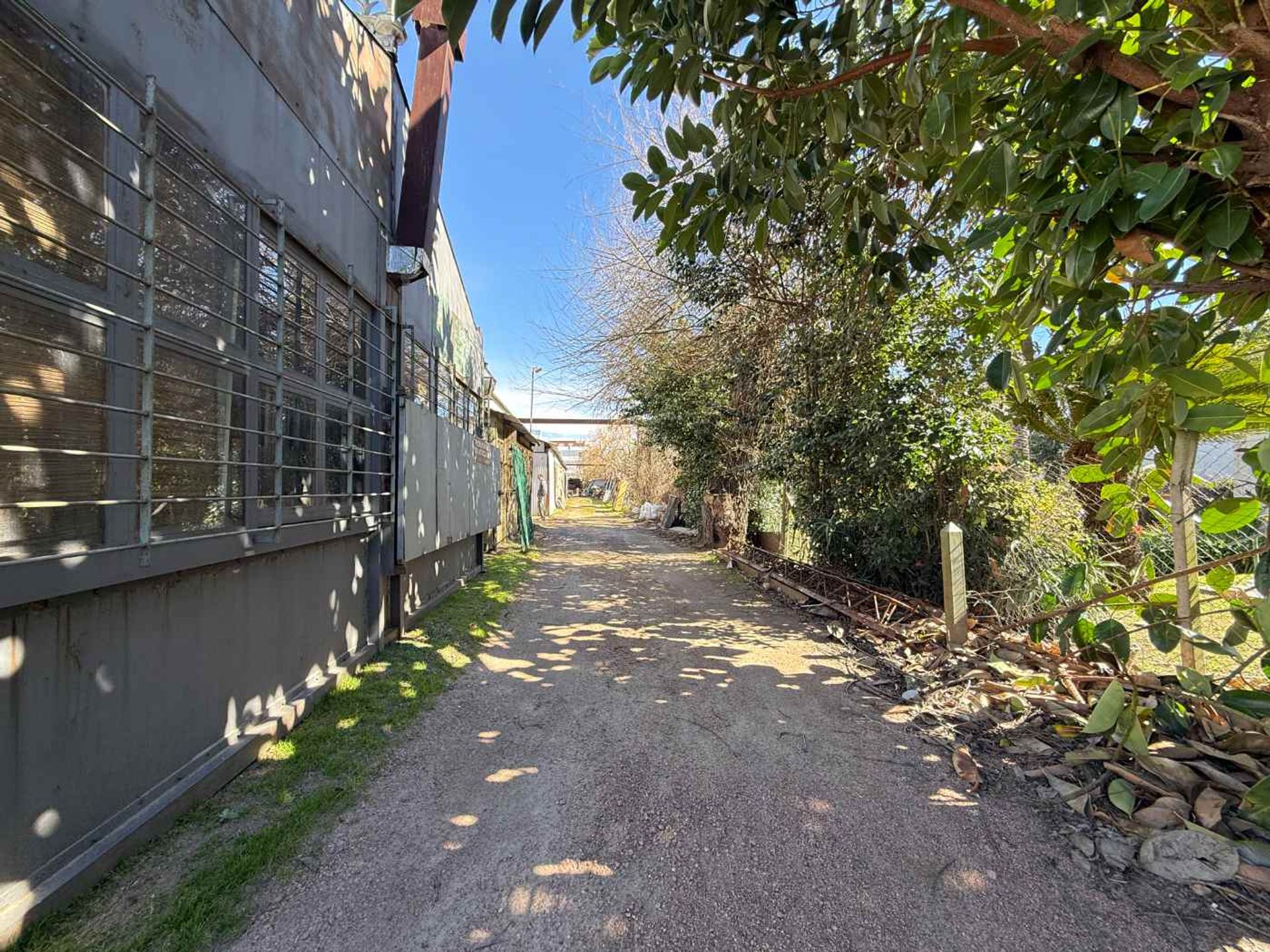Alquiler Local galpón Comercial en Malvin Norte · Foto 4