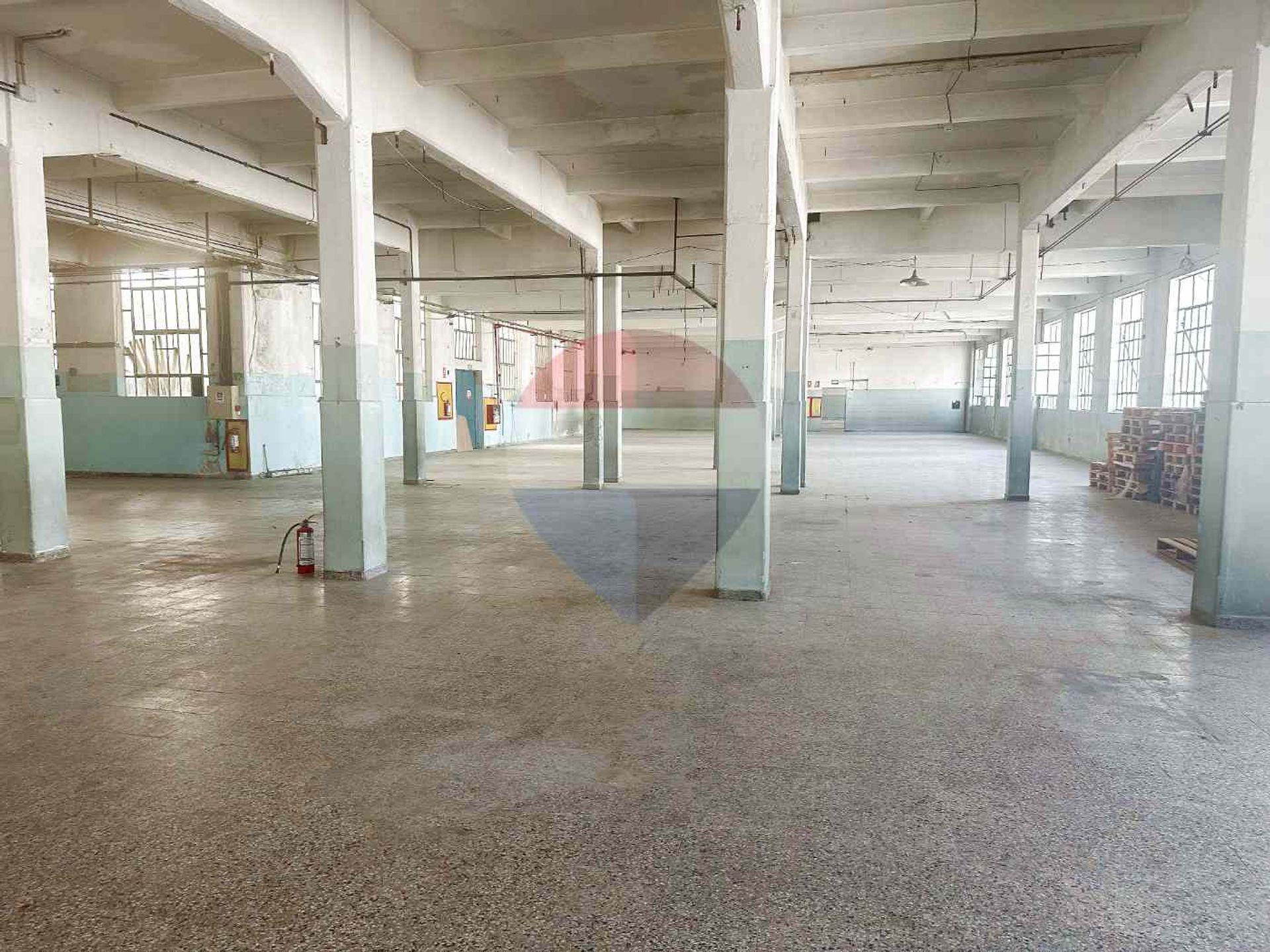 ALQUILER DE DEPÓSITOS VILLA ESPAÑOLA · Foto 10