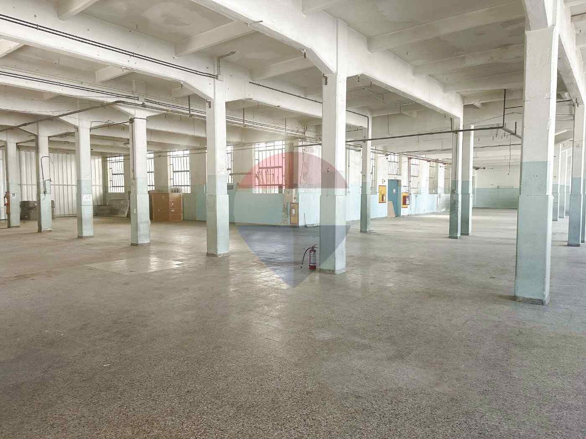 ALQUILER DE DEPÓSITOS VILLA ESPAÑOLA · Foto 6
