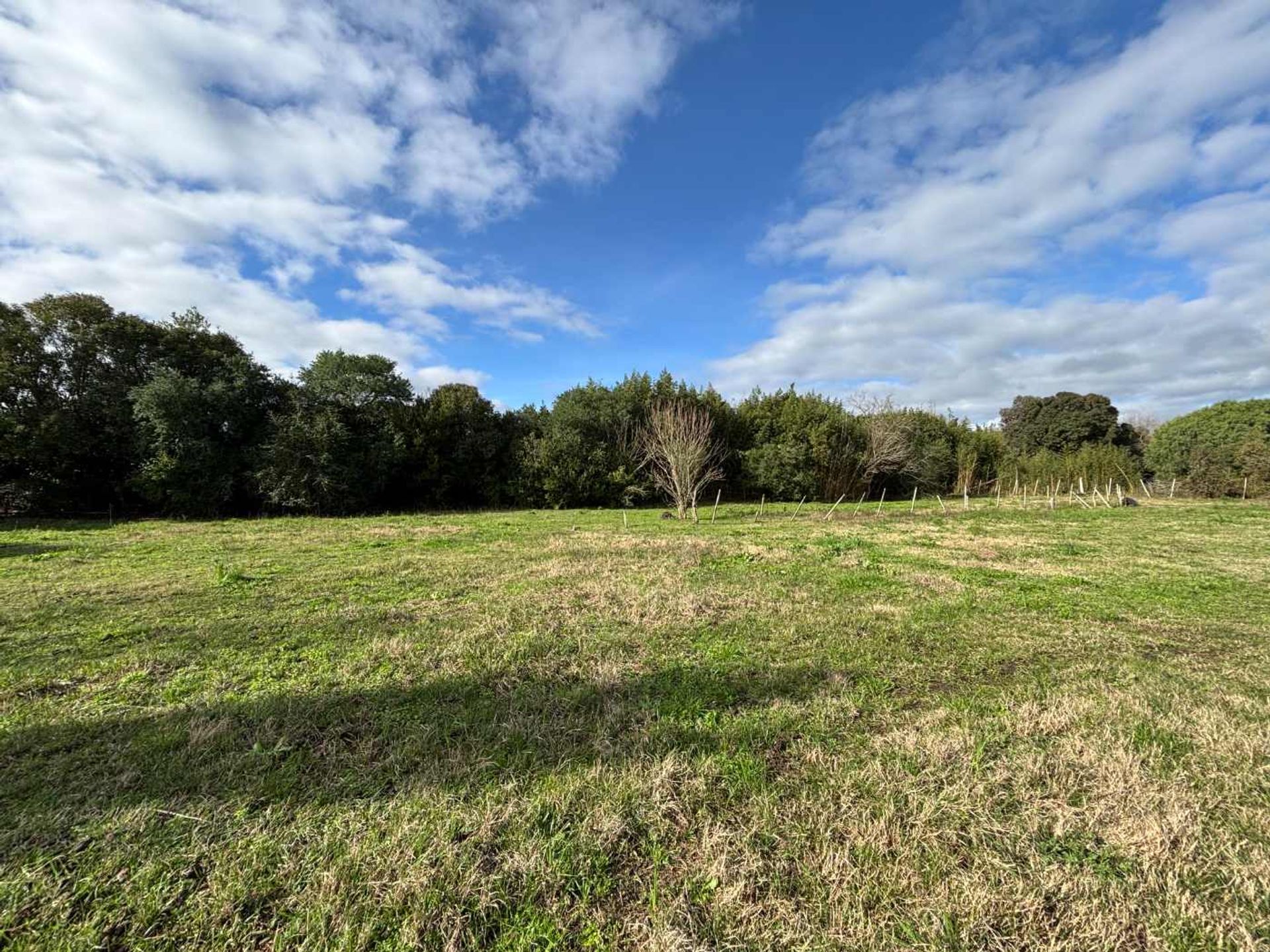 VENTA DE TERRENO EN GONZALEZ SAN JOSE - foto 1