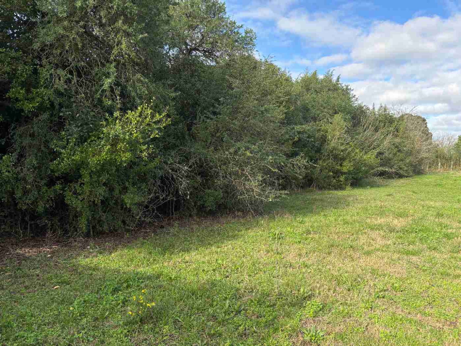 VENTA DE TERRENO EN GONZALEZ SAN JOSE - foto 3