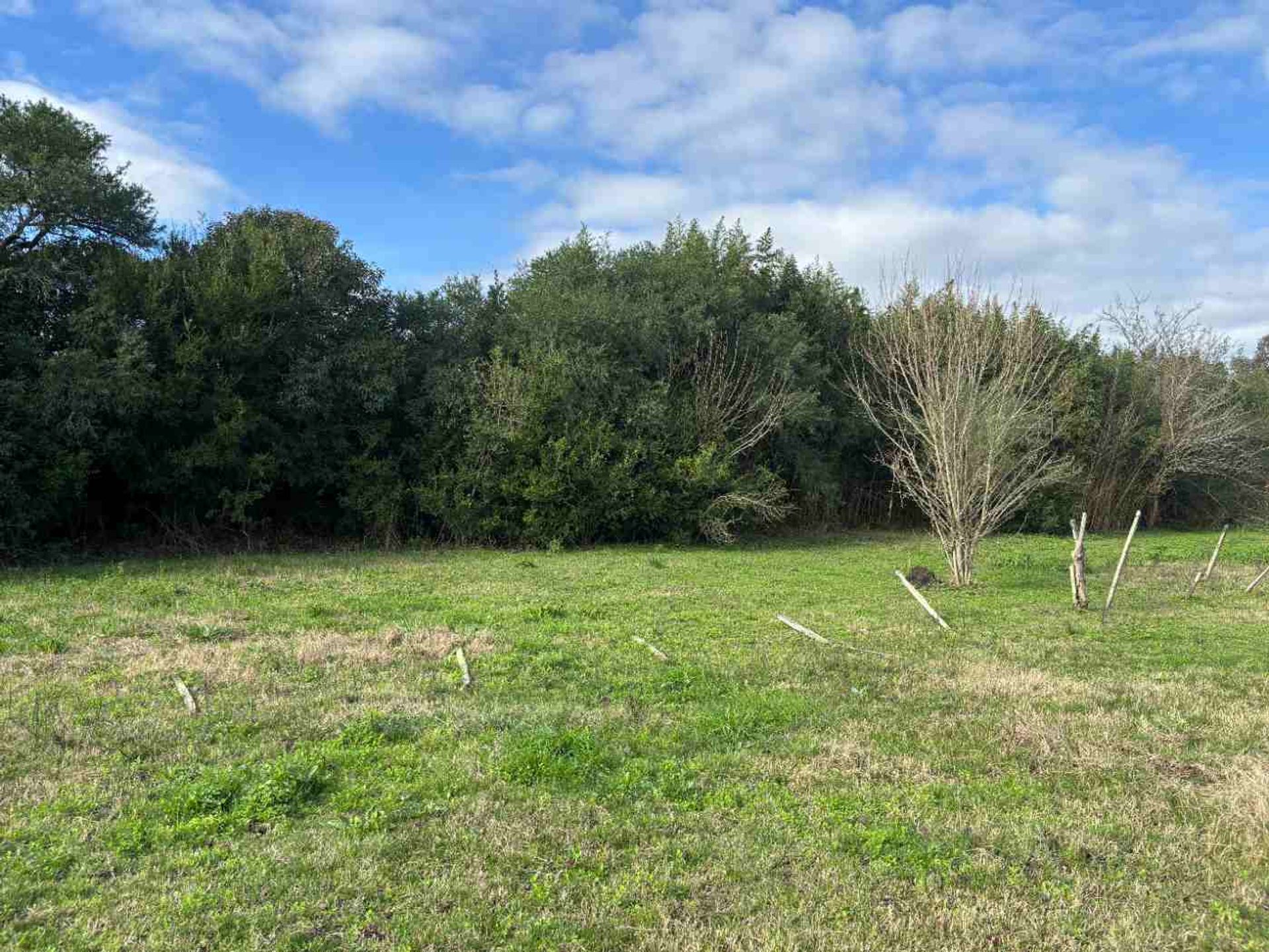 VENTA DE TERRENO EN GONZALEZ SAN JOSE - foto 2