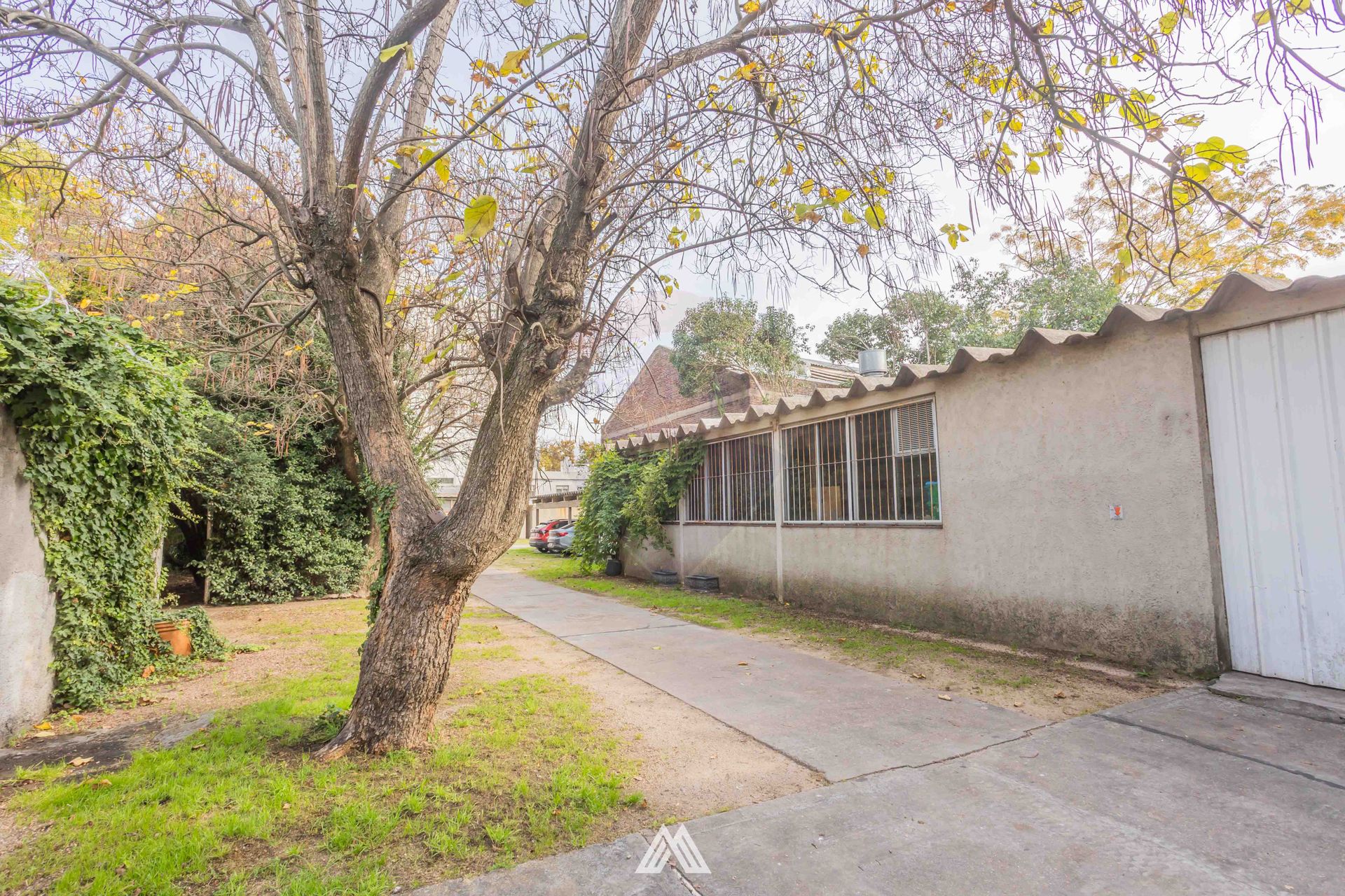 ALQUILER LOCAL, GRAN TERRENO, EN LA COMERCIAL · Foto 5