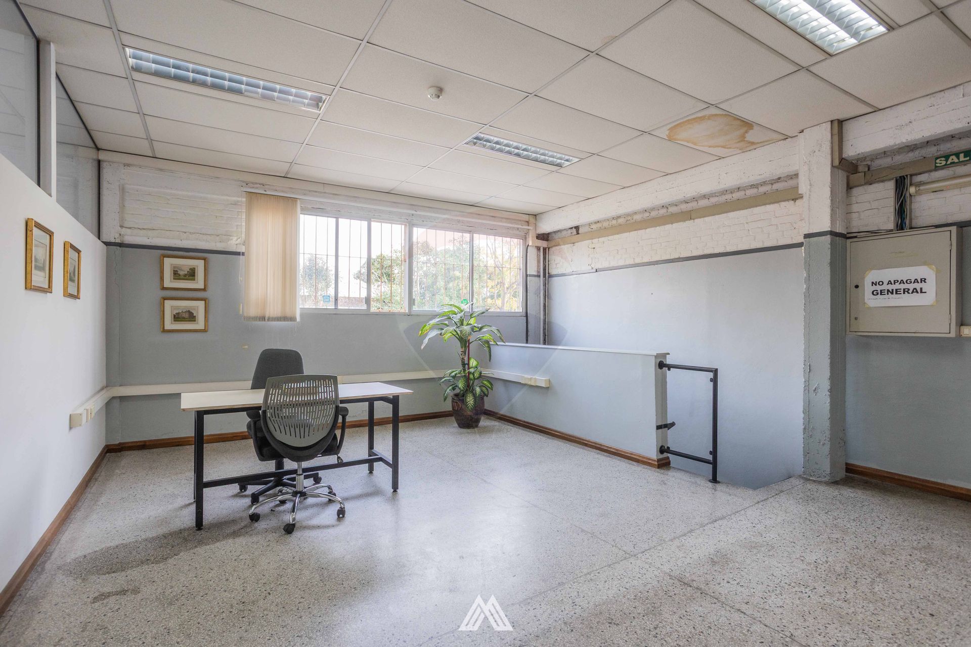 ALQUILER LOCAL, GRAN TERRENO, EN LA COMERCIAL · Foto 11