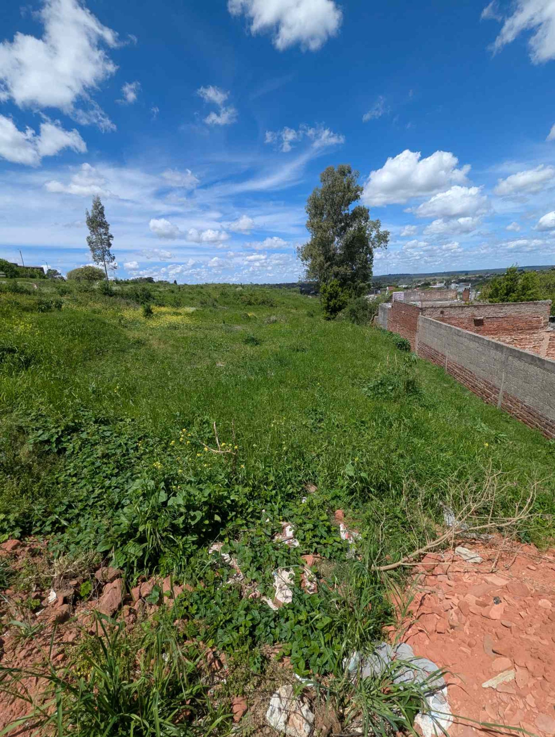 VENTA TERRENO EN CENTRO DE RIVERA - foto 2