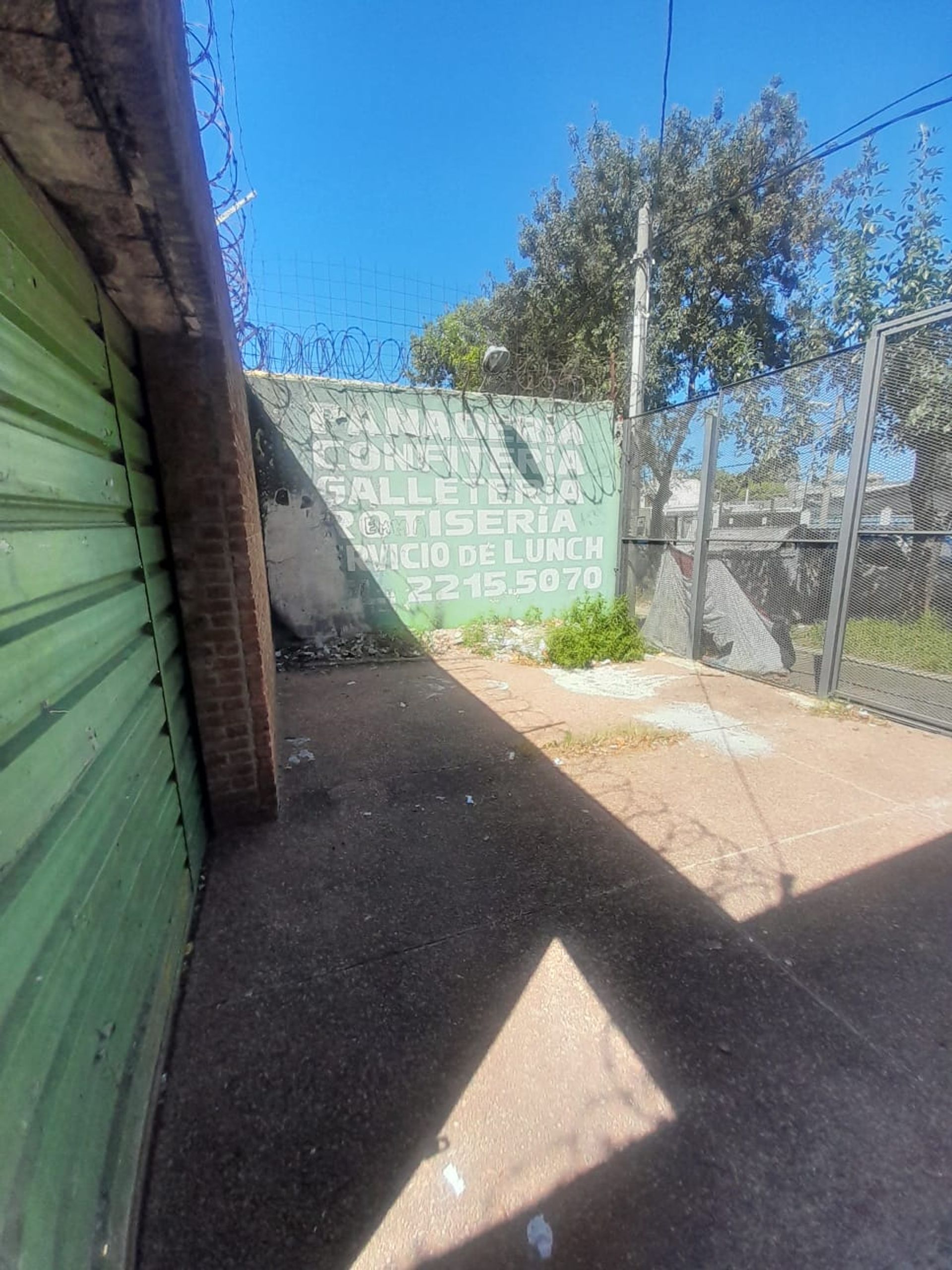 Local Comercial en Alquiler – Pérez Castellanos · Foto 2