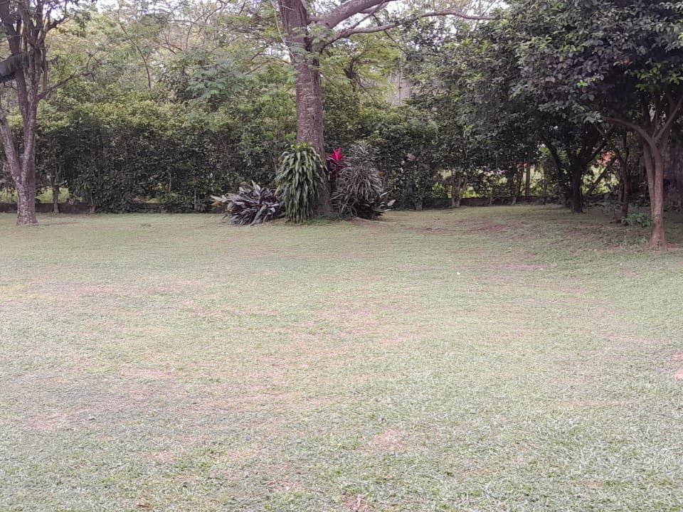 VENDO CASA QUINTA DE 2000 M2 EN SAN BERNARDINO — foto 2