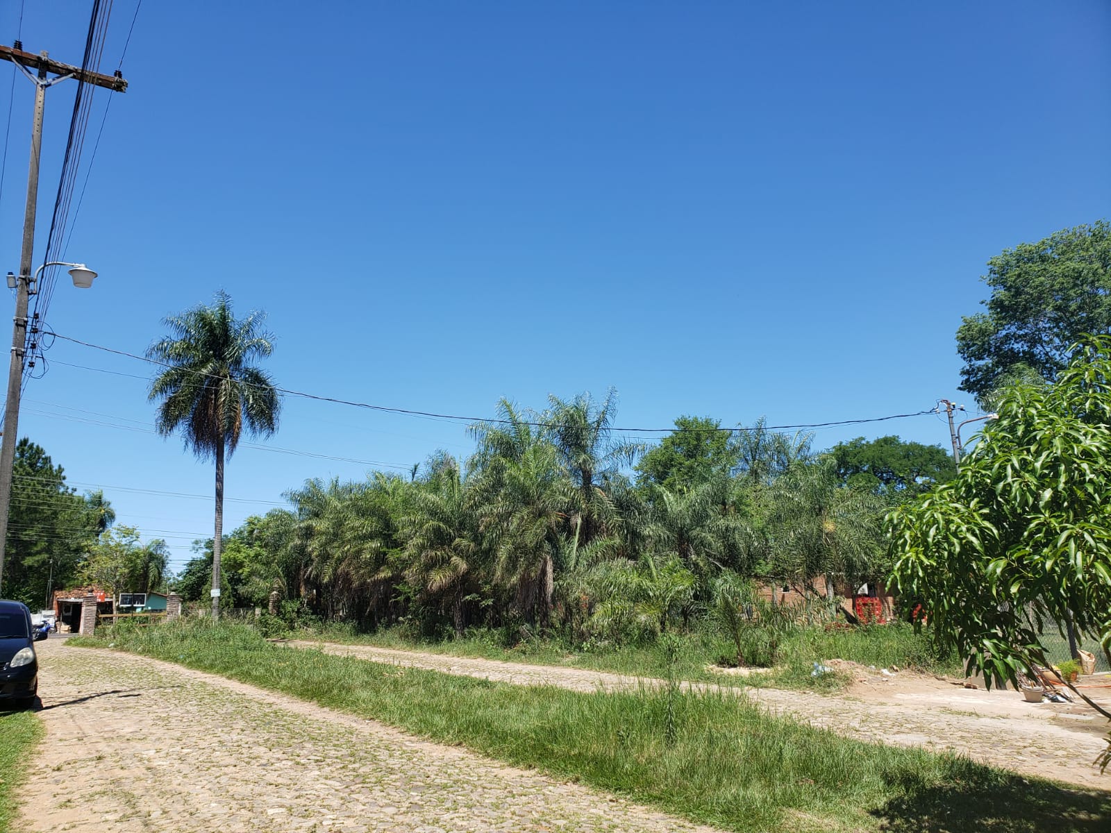 Vendo Terreno de 550 m2 en San Bernardino, Fracción la Arboleda - LLA6081991 — foto 2