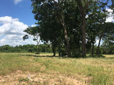 Hermoso Terreno En Esquina De 913,76 M2 $us 16.000 (por Urgencia De Salud)
