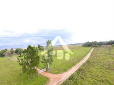 Vendo Hermosa Estancia En Iturbe De 290 Hectáreas