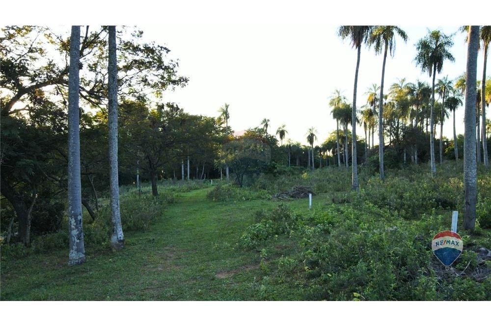 VENDO 5 HECTAREAS EN SAN BERNARDINO ZONA CIERVO KUA — foto 2