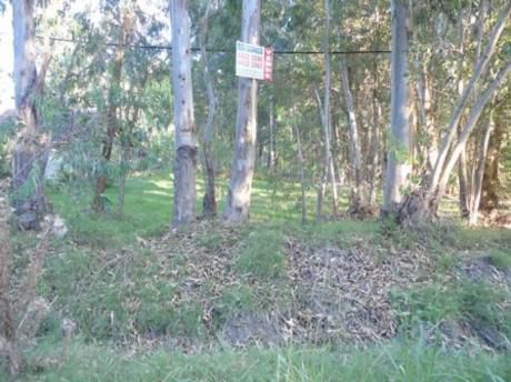 Terreno En Bella Vista