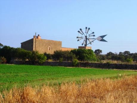 Campo En Soriano