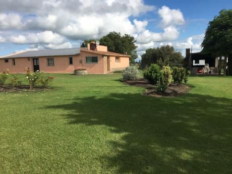 Campo En Dolores