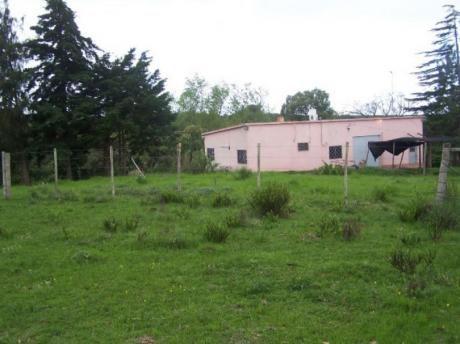 Venta De Campo En Mariscala !!