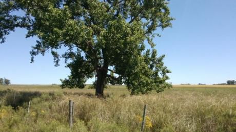 Venta De Campo En Sanjacinto !!