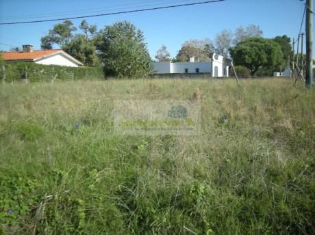 Hermosa Ubicación Muy Comercial. Alquila Santestevan En San Jose De Carrasco