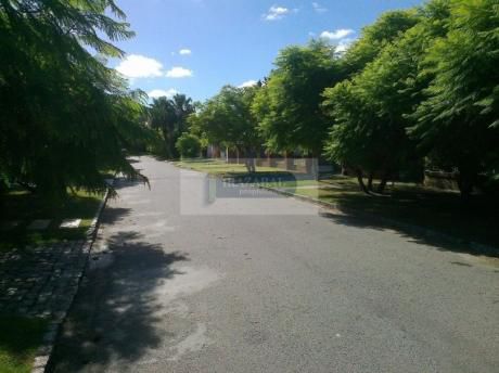 Terrenos En Jardines De Carrasco