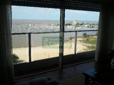 Espectacular Apartamento Sobre Puertito Del Buceo. 260 M2, 4 Dorm, Estar Y Serv