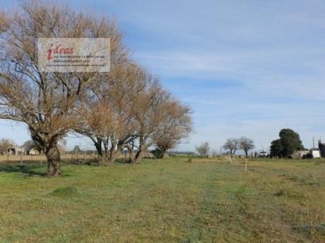 Muy Lindo Campo, 7 Has En 2 Padrones, Cerrillos