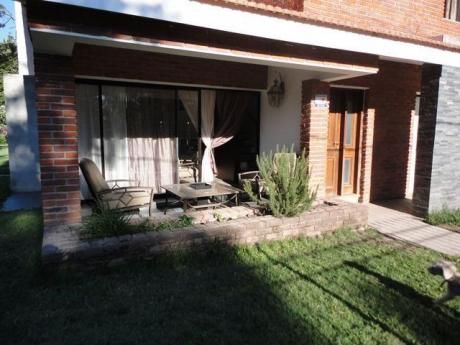 Pinares Cerca Del Mar