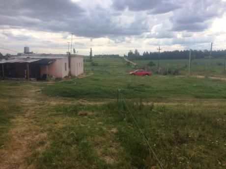 Campo-canelones- 17 Has