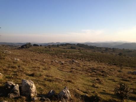 Campo-maldonado - 76 Has