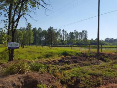 Vendo Terreno En Km 15 Acaray