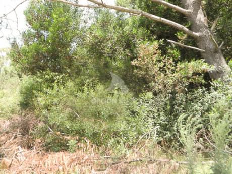 Lote En Venta