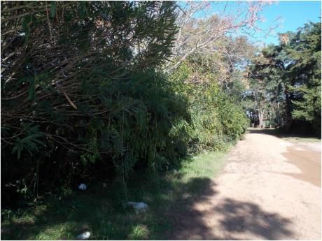 Terrenos En Rincón Del Indio