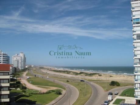 Apartamentos En Playa Brava