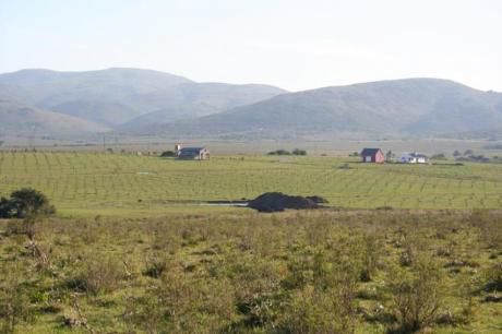 Chacras / Campos En Pan De Azucar: Ipd177h
