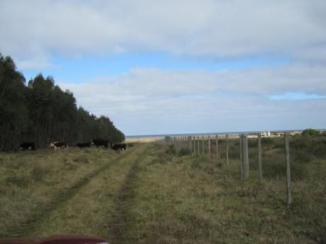 Chacras / Campos En Maldonado: Ipd300h