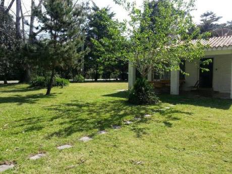 Casas En Cantegril: Ipd7216c
