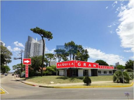 Locales Comerciales En Playa Mansa